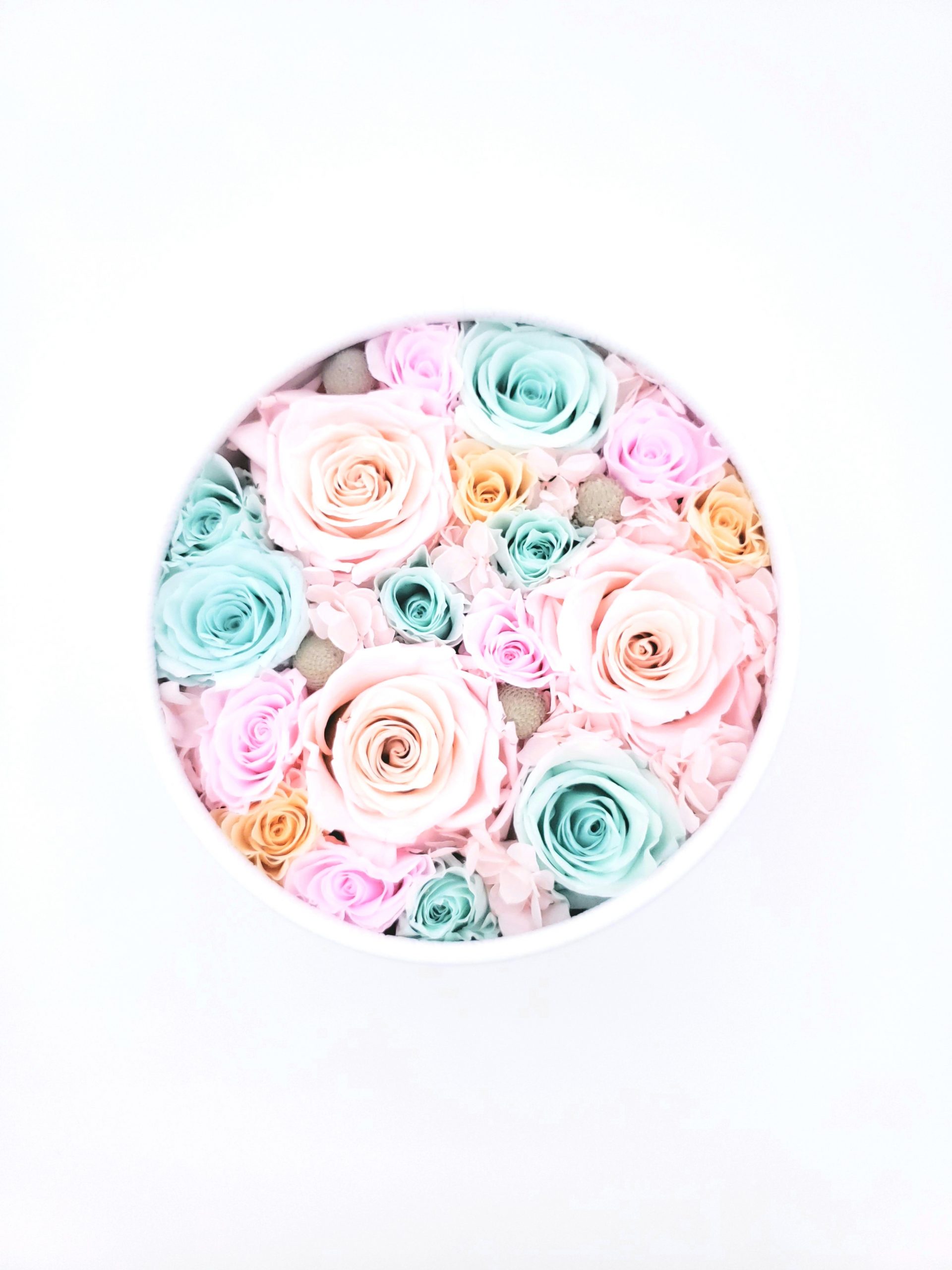 Cotton Candy “Forever” Preserved Roses Arrangement – Medium ...